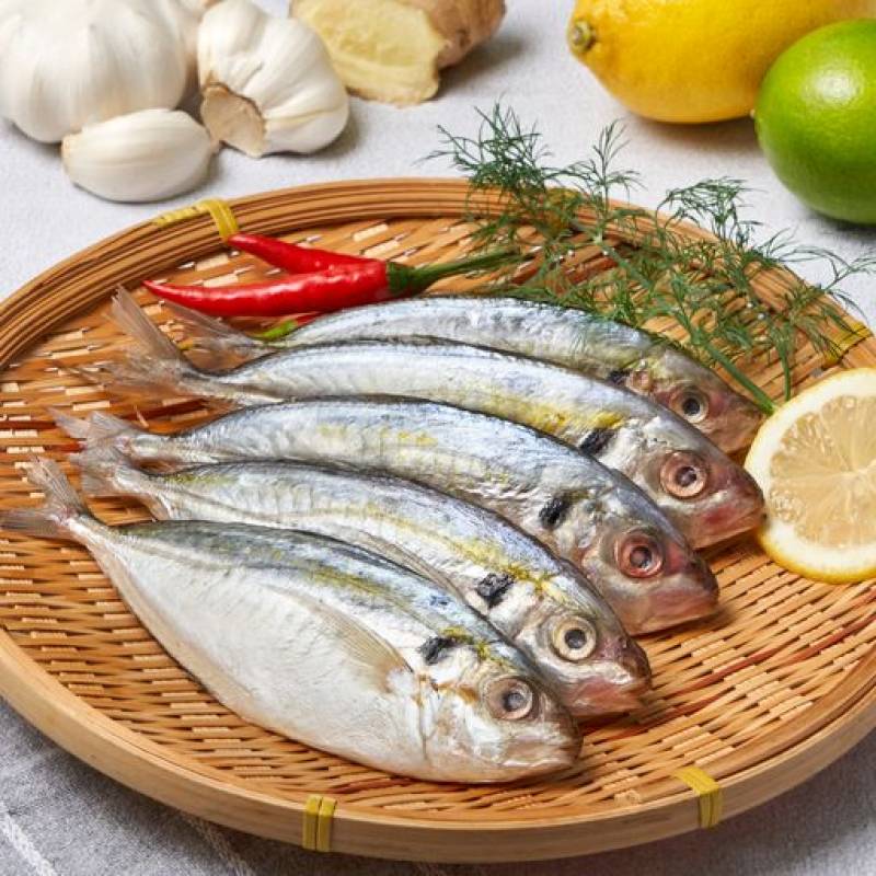 Ken Ken Kuning Fish - Frozen